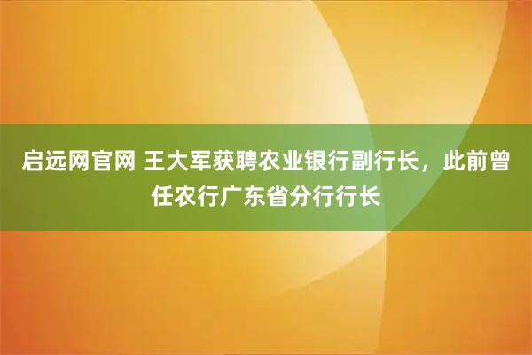 启远网官网 王大军获聘农业银行副行长，此前曾任农行广东省分行行长