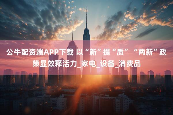 公牛配资端APP下载 以“新”提“质” “两新”政策显效释活力_家电_设备_消费品