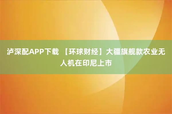 泸深配APP下载 【环球财经】大疆旗舰款农业无人机在印尼上市