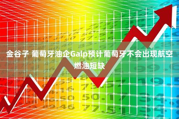 金谷子 葡萄牙油企Galp预计葡萄牙不会出现航空燃油短缺